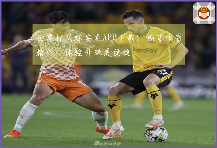 世界杯买球安卓APP下载：畅享体育精彩，体验升级更便捷
