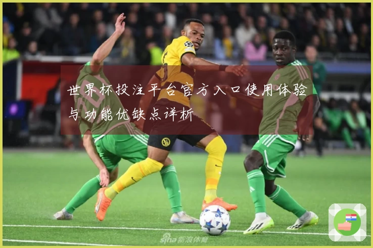 世界杯投注平台官方入口使用体验与功能优缺点详析