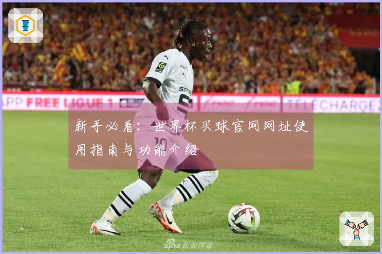 新手必看：世界杯买球官网网址使用指南与功能介绍