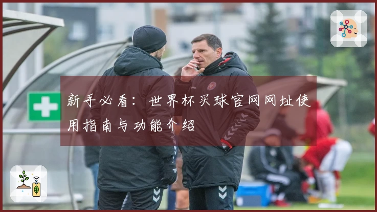 新手必看：世界杯买球官网网址使用指南与功能介绍