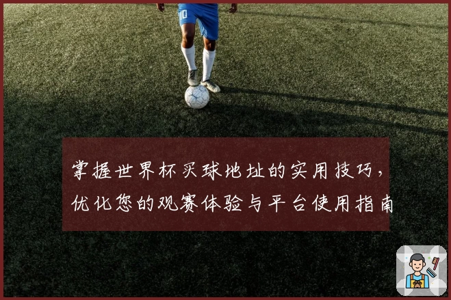 掌握世界杯买球地址的实用技巧，优化您的观赛体验与平台使用指南
