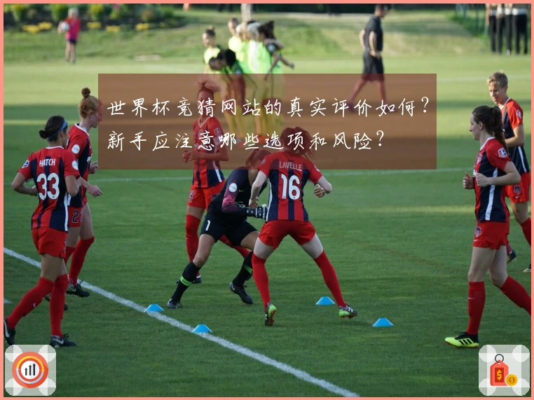 世界杯竞猜网站的真实评价如何？新手应注意哪些选项和风险？