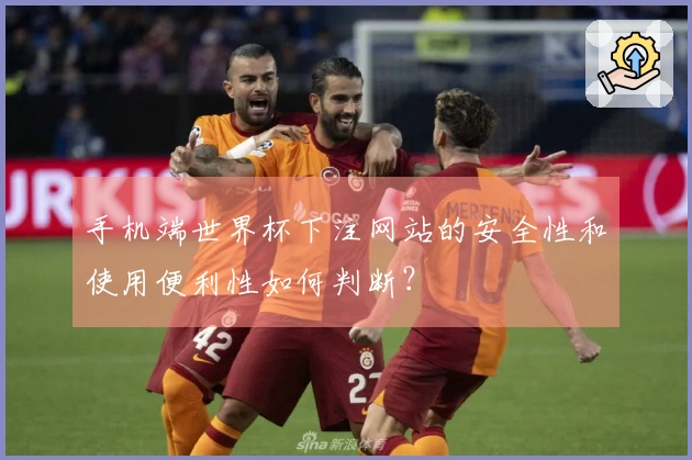 手机端世界杯下注网站的安全性和使用便利性如何判断？