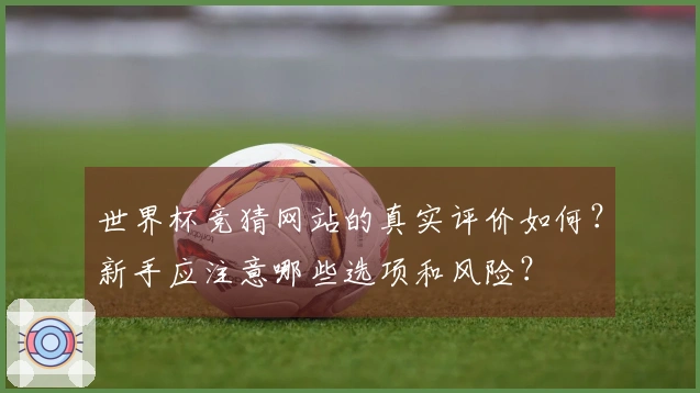 世界杯竞猜网站的真实评价如何？新手应注意哪些选项和风险？