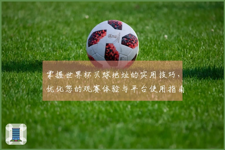 掌握世界杯买球地址的实用技巧，优化您的观赛体验与平台使用指南