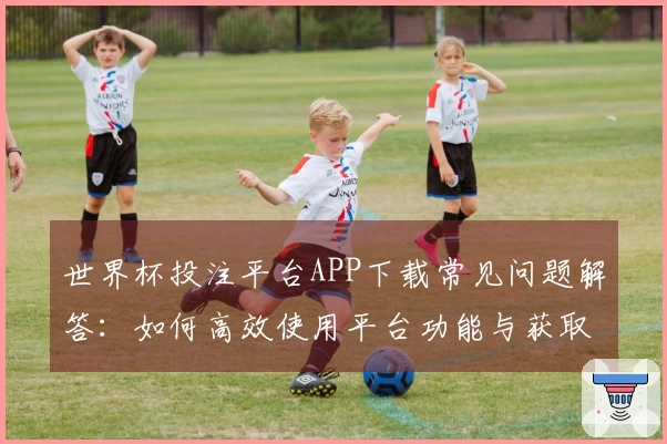 世界杯投注平台APP下载常见问题解答：如何高效使用平台功能与获取最佳体验