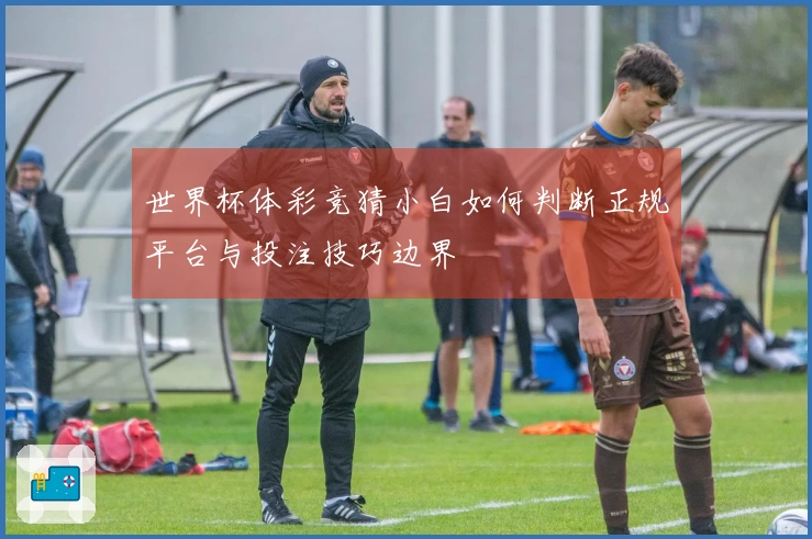 世界杯体彩竞猜小白如何判断正规平台与投注技巧边界